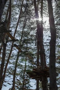 Platform in a tree on a forest adventure obstacle course, with defocused tr.. Stock Photos