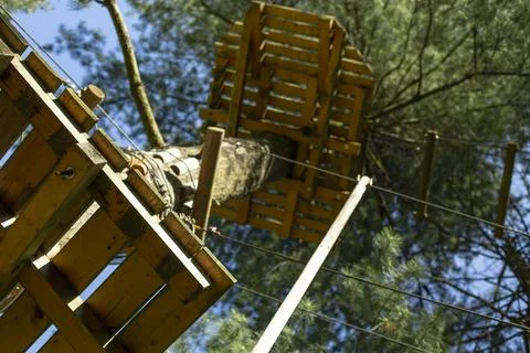 Platform in a tree on a forest adventure obstacle course, with defocused tr.. Stock Photos