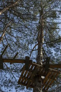 Platform in a tree on a forest adventure obstacle course, with defocused tr.. Stock Photos