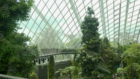Platform view inside Cloud forest Gardens by the Bay Singapore panning Stock Footage 236625971