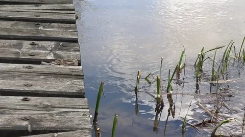 Platform for walking on the lake Stock Footage 78897506