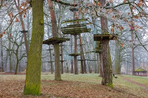 Platforms in the trees above the ground with various obstacles in the rope .. Stock Photos