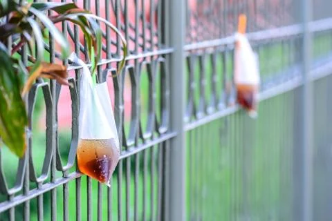 Platic garbage, plastic bag used for sparkling water was left on Stock Photos
