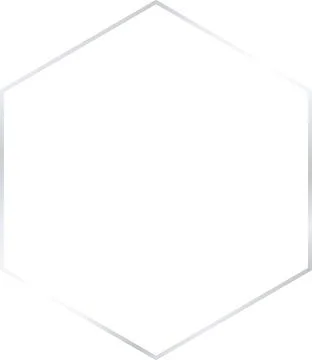 Platinum Luxury hexagon Framework Stock Illustration