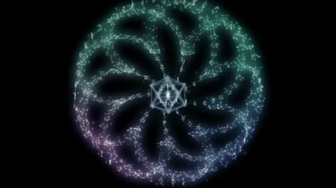 Plato Flower Stock Footage 36159278