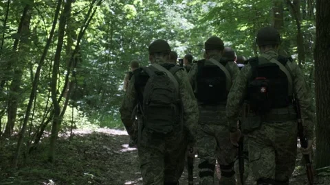 A platoon of soldiers walks through the forest Stock Footage 234731485