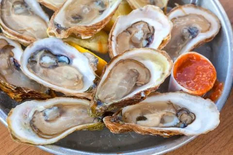 Platter of oysters Stock Photos