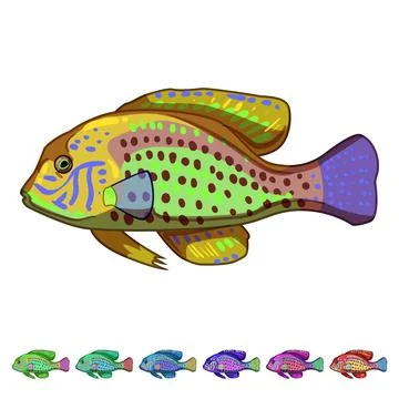 Platy decorative fish cartoon vector graphic Stock Illustration