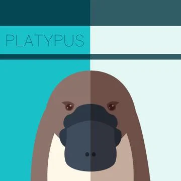 Platypus Flat Postcard Stock Illustration
