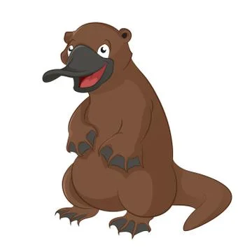 Platypus Stock Illustration