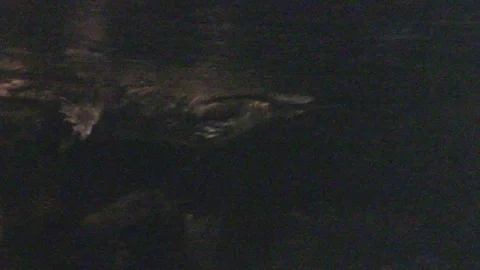 Platypus Swimming Underwater Stock Footage 86665809