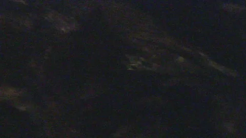 Platypus Swimming Underwater Stock Footage 86665833