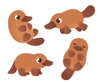 Platypus2025set Stock Illustration