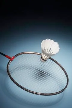 Play badminton Stock Photos