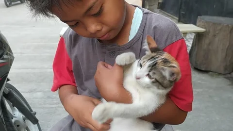 Play with the cat Stock Footage 246960195