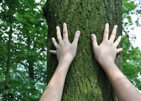 Play a child's hands Stock Photos