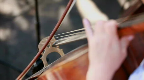 Play on the contrabass Stock Footage 789566