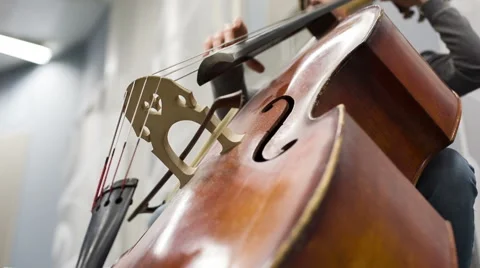 Play On The Contrabass. Stock Footage 60633221