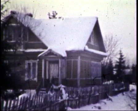 Play with dog Stock Footage 956733