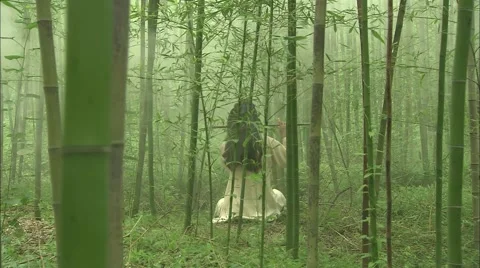Play the flute In the bamboo forest Video stock 57321544