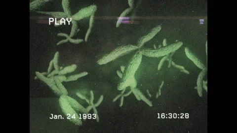 Play icon and Jan Stock Footage 312407686