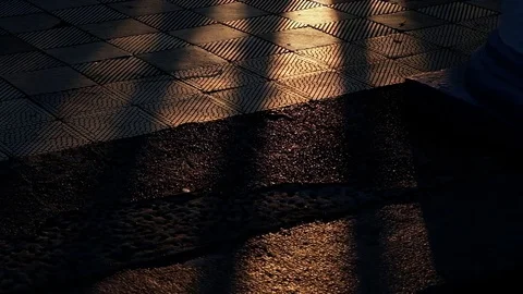 The play of light and shadow in the park at sunset Stock Footage 84075557