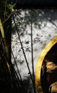 The play of light and shadow on a wall creates a dramatic, minimalist scene.. Stock Photos