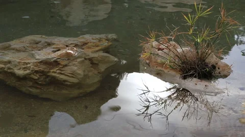 The play of light in the reflection of the creek Stock Footage 42568565