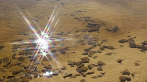 Play of light on shoal Stock Footage 10844088