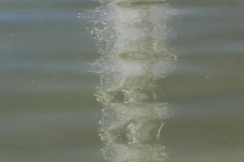 Play of light on water Stock Photos