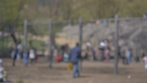 Play in the park Stock Footage 114246693