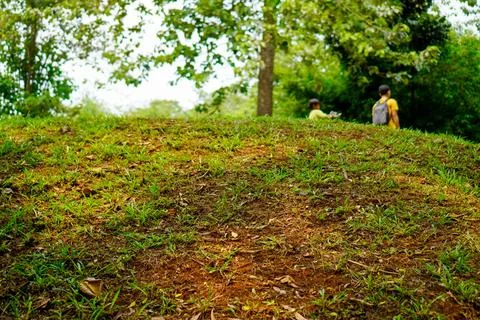 Play in the park Stock Photos