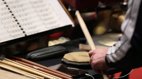 Play a percussion instrument 5 Stock Footage 310028128
