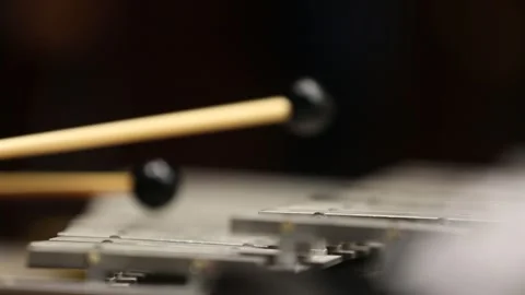 Play a percussion instrument 6 Stock Footage 310028146