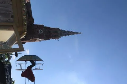 At Play 스톡 사진