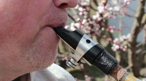 Play The Saxophone 4 Vídeo Stock 49129290