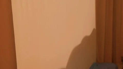 The play of shadows is shown on the sheet Stock Footage 109174125