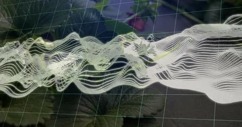 On play sheer waveform ribbon evolving over plants, aligning highlights near Foto stock