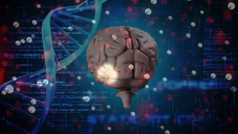 On play start, 3D brain rotating and pulsing red glow, showing neural link to Stock Footage 328229704