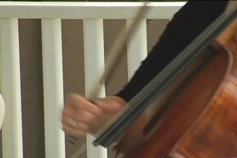 Play string intsrument Stock Footage 504911