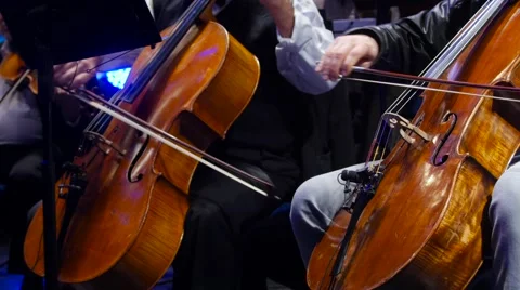 Play  strings of the cello   Vidéo 59363046