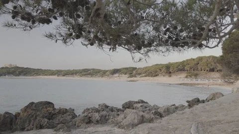 Playa Agulla, Playa de s'aguala, Baleari Island, Mallorca, Spain Stock Footage 111848878
