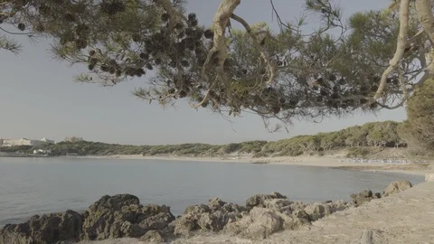 Playa Agulla, Playa de s'aguala, Baleari Island, Mallorca, Spain Stock Footage 111848939