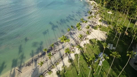 Playa-aserradero-drone-4k-pristine-beach-green-tropical-forest-07 Vídeos de archivo 315969117