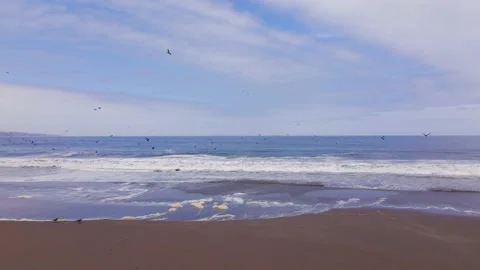 Playa Brava Iquique Chile Stock Footage 144140283