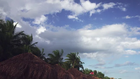 Playa Del Carmen Clouds With Palms Trees Stock Footage 243646287