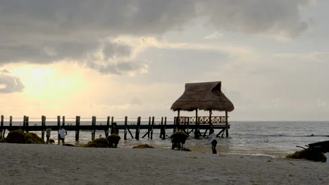 Playa Del Carmen wheel barrows of seaweed Stock Footage 156992959