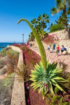 Playa El Duque Stock Photos
