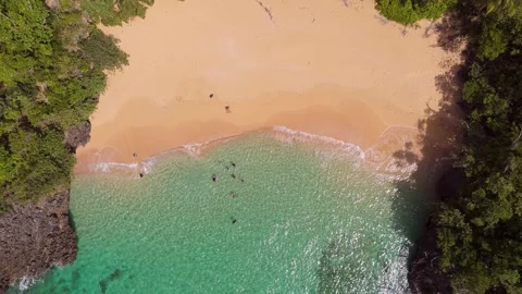 Playa Onda - El Valle - Samana - Dominican Republic Stock Footage 341119035