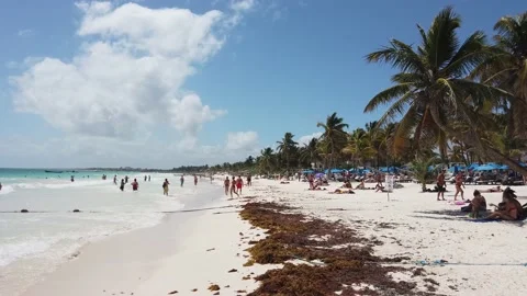 Playa Paraiso in Tulum, Mexico. 스톡 동영상 173554396